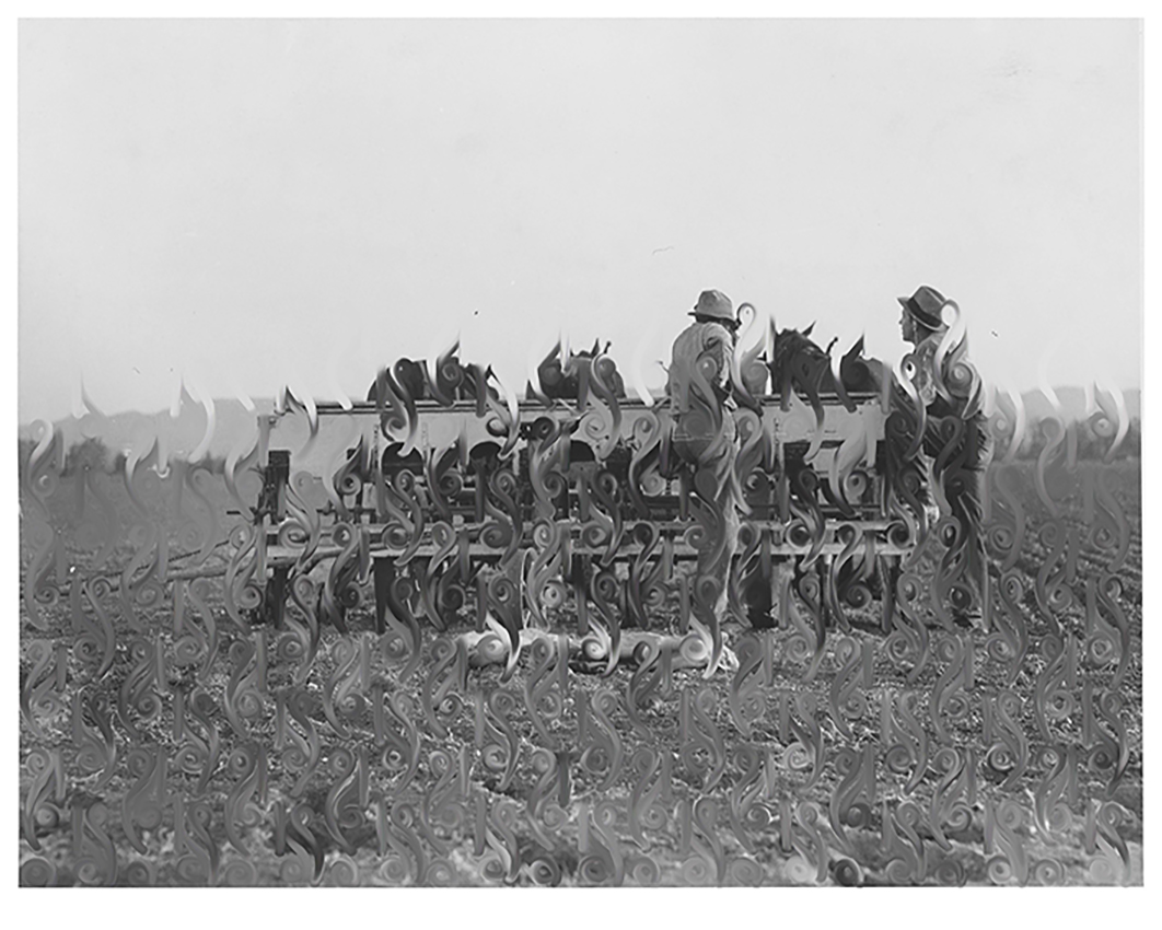 Farmers talking politics. Potato fields. California